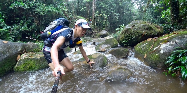 Jungle Ultra